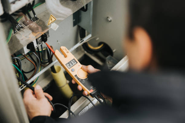 Best Electric Panel Repair  in Hillsboro, MO